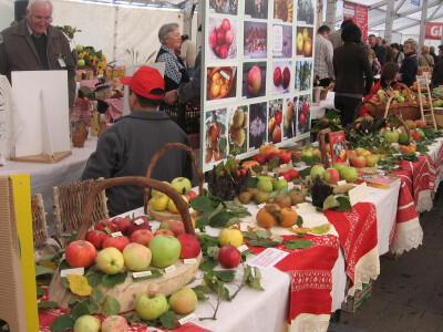 Veićev bogat štand sa starim sortama