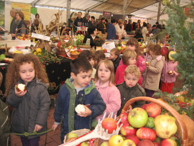 Mališani uživali u plodovima jabuka