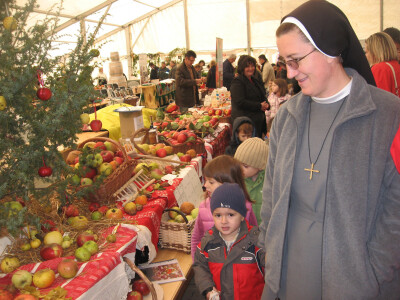 Dani jabuke u Požegi