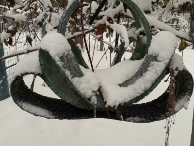 Velaga Osmanagić: Niko više ne koristi vodenicu, svi kupuju gotovo brašno