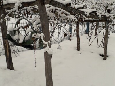 Velaga Osmanagić: Niko više ne koristi vodenicu, svi kupuju gotovo brašno