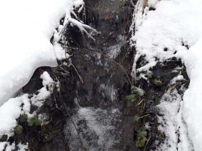 Velaga Osmanagić: Niko više ne koristi vodenicu, svi kupuju gotovo brašno