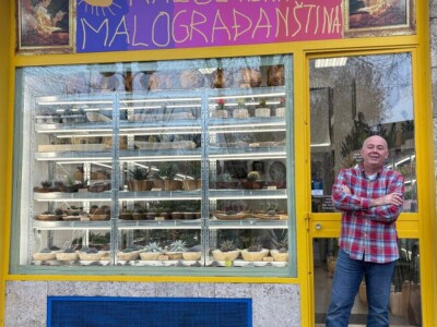 Kad sukulenti cvjetaju?