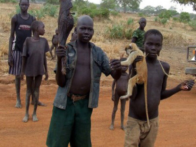 2 Velika Britanija se boji krijumčarenog mesa divljih afričkih životinja