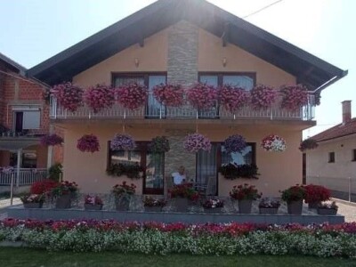 Velika potražnja za hrizantemama iz prijedorskih Rasavaca