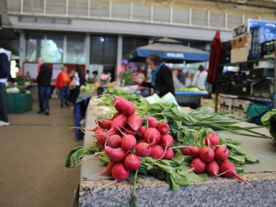 Velika subota u Osijeku