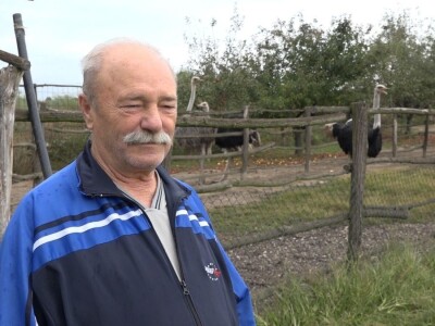 Velike ptice u Velikom Selu