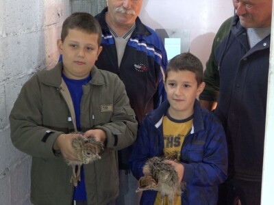 Velike ptice u Velikom Selu