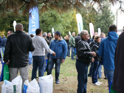 Timac ago - Dan polja kupusa