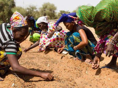 Lokalno stanovništvo sudjeluje u sijanju sjemena akcije