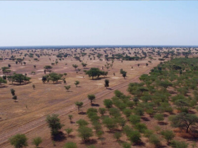 Prostranstva Senegala