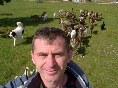 Uzgoj koza u Parku prirode Blidinje Uzgoj koza u Parku prirode Blidinje