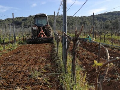 Velimir Mratinić, idejni začetnik inicjative za poticanje proizvodnje