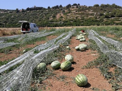 Velimir Mratinić, idejni začetnik inicjative za poticanje proizvodnje