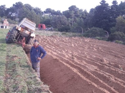 Velimir Mratinić, idejni začetnik inicjative za poticanje proizvodnje