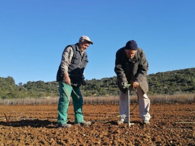 Velimir Mratinić, idejni začetnik inicjative za poticanje proizvodnje