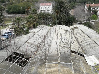 Velimir Mratinić, idejni začetnik inicjative za poticanje proizvodnje