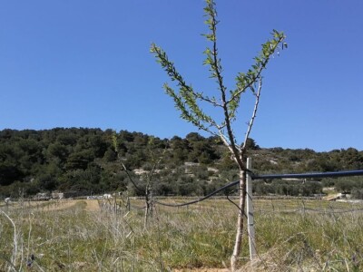 Velimir Mratinić, idejni začetnik inicjative za poticanje proizvodnje