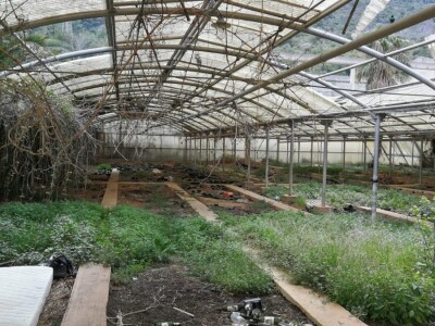 Velimir Mratinić, idejni začetnik inicjative za poticanje proizvodnje