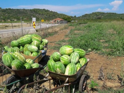 Velimir Mratinić, idejni začetnik inicjative za poticanje proizvodnje
