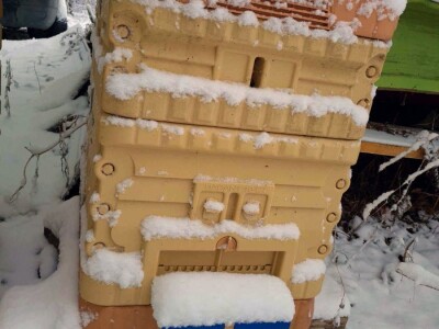 Veljača u pčelinjaku