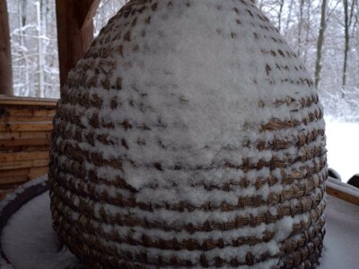 Veljača u pčelinjaku