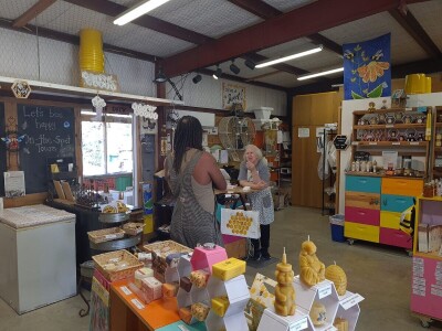 Veljača u pčelinjaku