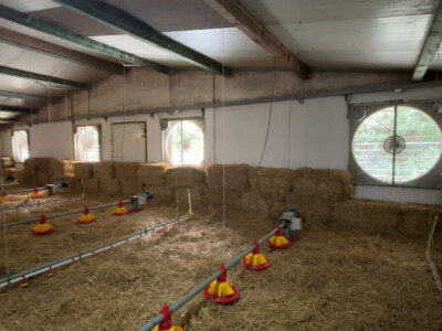 Kako izgleda farma s rashladnim saćem?