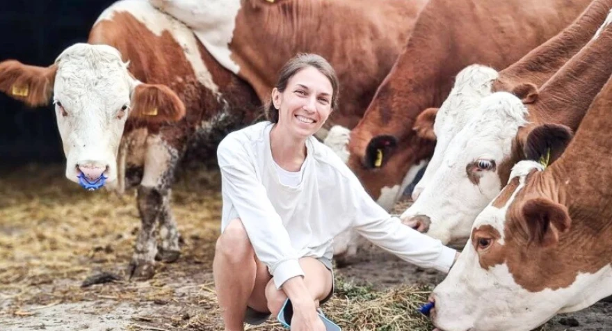 Vera Tadić sa kravama