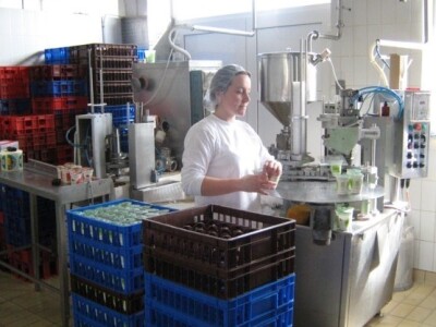 Proizvodnja vrhnja i jogurta