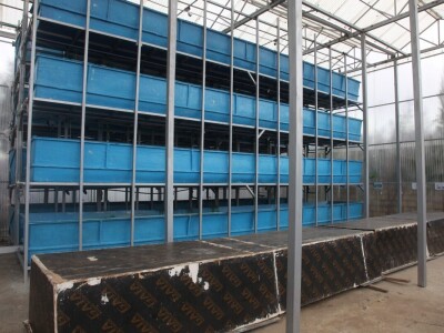 Vertikalna jezera - revolucija u afričkoj akvakulturi