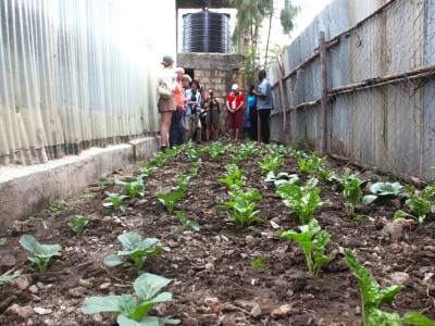 Vertikalna jezera - revolucija u afričkoj akvakulturi
