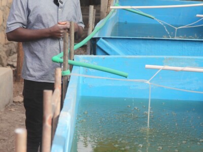 Vertikalna jezera - revolucija u afričkoj akvakulturi