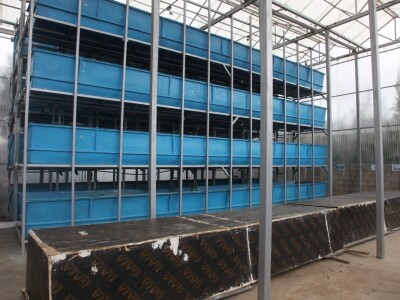 Vertikalna jezera - revolucija u afričkoj akvakulturi Vertikalna jezera - revolucija u afričkoj akvakulturi