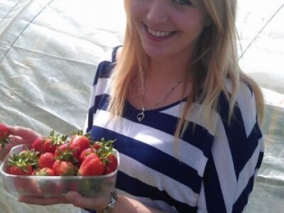 Počeli su s ekološkim jagodama