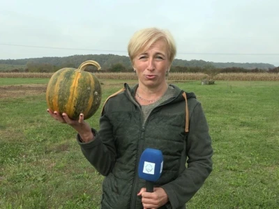 Vesna Mijat