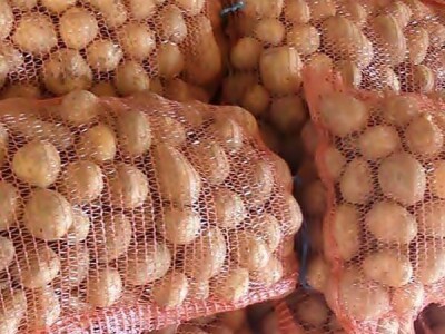 Veso Radić: Za nevesinjski krompir uvijek se nađe kupac