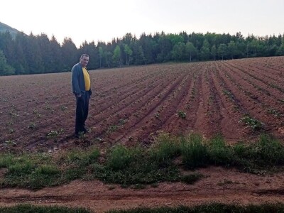 Veso Radić: Za nevesinjski krompir uvijek se nađe kupac