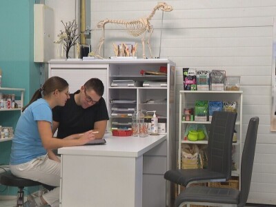 Veterinarka Jana Gams predvodi inovativni projekt rehabilitacije pasa