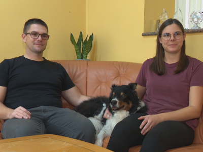 Veterinarka Jana Gams predvodi inovativni projekt rehabilitacije pasa