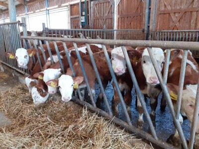 Vetilatori u stajama