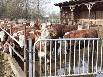 Vetilatori u stajama