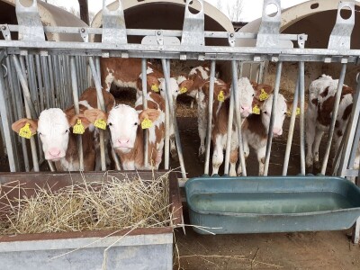 Vetilatori u stajama