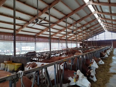 Vetilatori u stajama