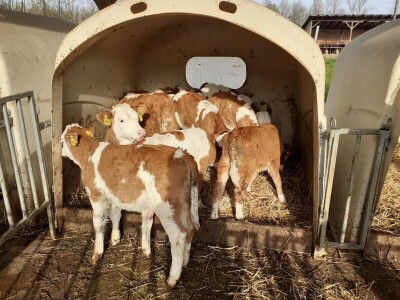 Vetilatori u stajama