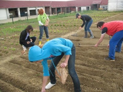 Studenti rade sve poljoprivredne poslove