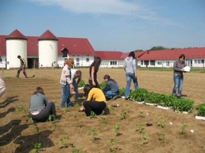 Na praksi provode više od polovice nastavnog programa