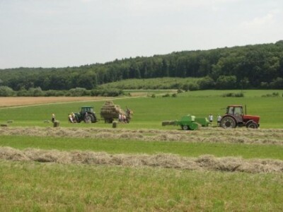 Sami proizvode hranu za stoku