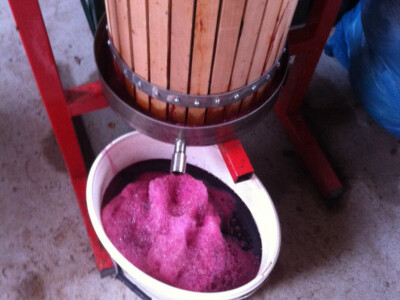 Porodica Mujčić iz Kozaruše