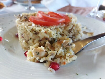 Green visit Podunavlje